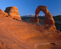 Delicate Arch, posé sur le sommet d'un aileron de grès érodé du parc national des Arches, situé en Utah, au pied des montagnes laccolithiques LaSal, est la toute première vedette du parc, et une curiosité de réputation planétaire