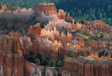 Situé au beau milieu de l'amphithéâtre de Bryce Canyon, en Utah, Fairy Castle, le Château des Fées offre un splendide effet de contre-jour en milieu de matinée.