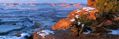 Green River Overlook, en bordure d'Island-in-the-Sky, dans le parc national des Canyonlands en Utah, domine la Green River, principal affluent du Colorado