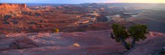 Green River Overlook, en bordure d'Island-in-the-Sky, dans le parc national des Canyonlands en Utah, domine la Green River, principal affluent du Colorado