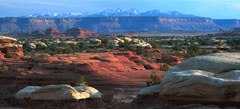 La route du Needles District, appartenant au parc national des Canyonlands, dans l'Utah, et qui conduit à Elephant Canyon, offre quelques belles vues sur les LaSal Mountains situées près de la ville de Moab