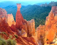 Situé en Utah, dans l'Agua Canyon, au sud de l'amphithéâtre de Bryce Canyon, qu'il domine, The Hunter évoque un chien de chasse